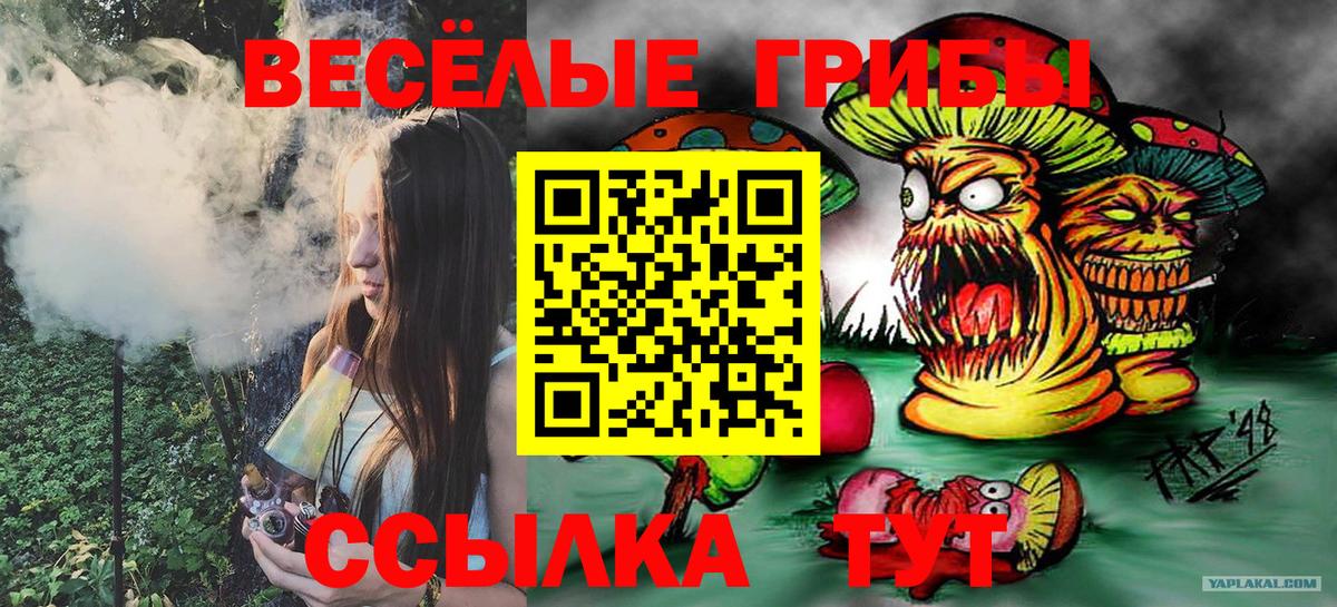 Галлюциногенные грибы прущие грибы Азнакаево
