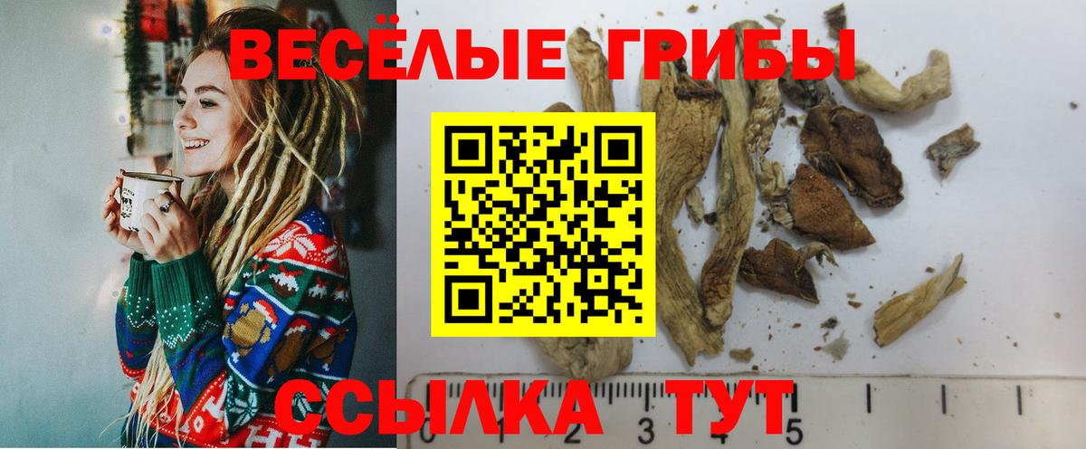 Галлюциногенные грибы Psilocybine cubensis  Вход с VPN  Азнакаево 